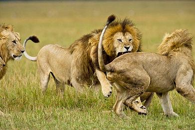 《燕云十六声》已实装大世界光追 绝不忽略优化