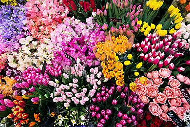 巴西爱好者打造《战神：诸神黄昏》奎托斯蛋糕